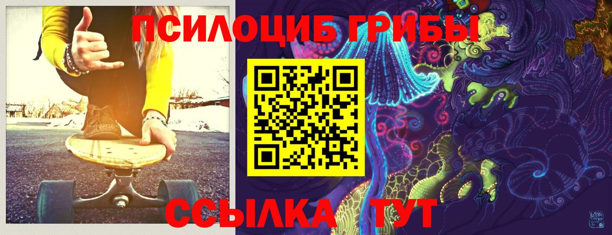 Псилоцибиновые грибы Psilocybe  Вход с VPN  Верхний Уфалей  Псилоцибиновые грибы MAGIC MUSHROOMS 